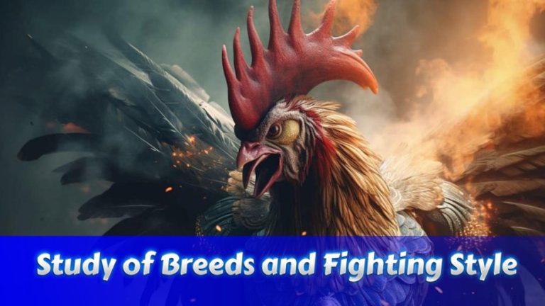 Study of Breeds and Fighting Style Advantages EEBET